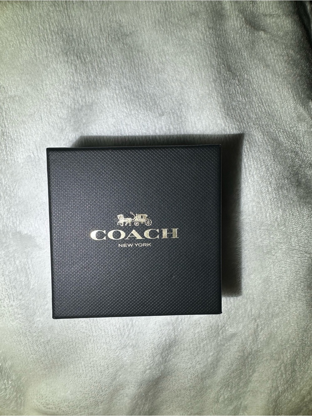 Coach heart earrings set